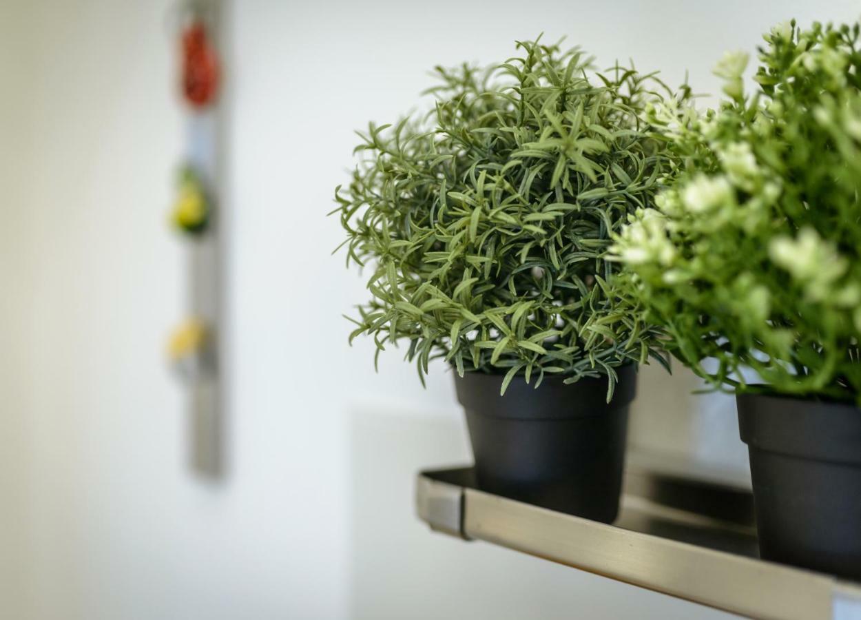 Art View Luxury Apartment Bari Zewnętrze zdjęcie